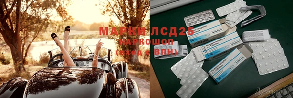 Альфа ПВП Аркадак